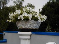 P1010029