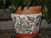 P1010031