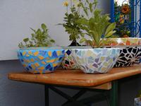 P1010055