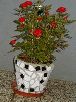 P1010044