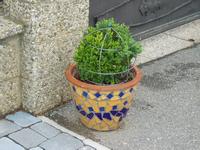 P6100013